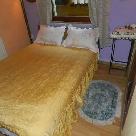 Hostel Pansion Venera *