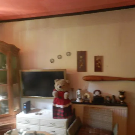 Hostel Pansion Venera